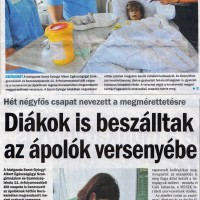 Megyei szintű szakmai verseny